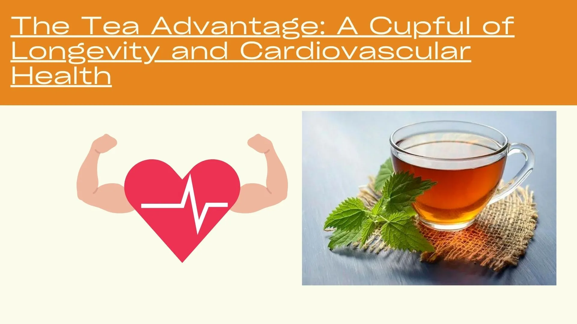The-Tea-Advantage-A-Cupful-of-Longevity-and-Cardiovascular-Health